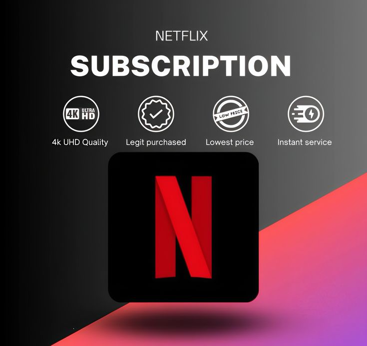 Netflix Subscription